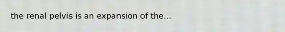 the renal pelvis is an expansion of the...