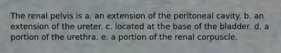 The renal pelvis is a. an extension of the peritoneal cavity. b. an extension of the ureter. c. located at the base of the bladder. d. a portion of the urethra. e. a portion of the renal corpuscle.