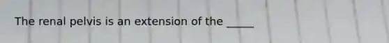 The renal pelvis is an extension of the _____