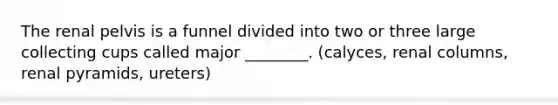 The renal pelvis is a funnel divided into two or three large collecting cups called major ________. (calyces, renal columns, renal pyramids, ureters)