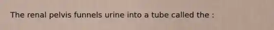 The renal pelvis funnels urine into a tube called the :