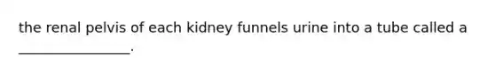 the renal pelvis of each kidney funnels urine into a tube called a ________________.