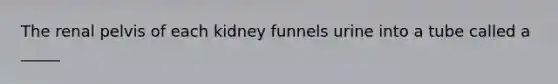 The renal pelvis of each kidney funnels urine into a tube called a _____