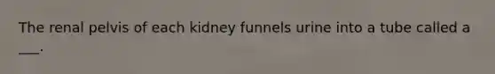 The renal pelvis of each kidney funnels urine into a tube called a ___.