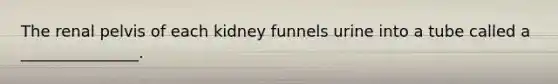 The renal pelvis of each kidney funnels urine into a tube called a _______________.