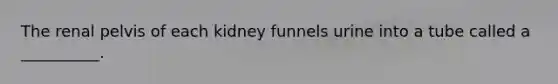 The renal pelvis of each kidney funnels urine into a tube called a __________.