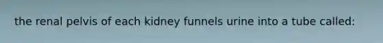 the renal pelvis of each kidney funnels urine into a tube called: