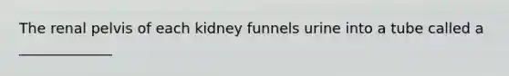 The renal pelvis of each kidney funnels urine into a tube called a _____________