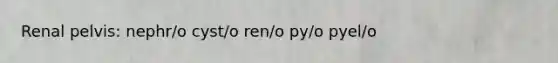 Renal pelvis: nephr/o cyst/o ren/o py/o pyel/o