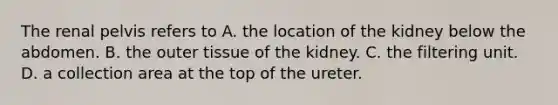 The renal pelvis refers to A. the location of the kidney below the abdomen. B. the outer tissue of the kidney. C. the filtering unit. D. a collection area at the top of the ureter.