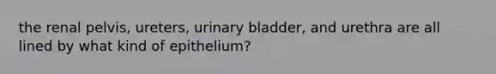 the renal pelvis, ureters, urinary bladder, and urethra are all lined by what kind of epithelium?