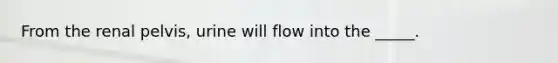 From the renal pelvis, urine will flow into the _____.