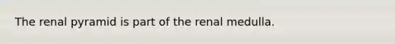 The renal pyramid is part of the renal medulla.