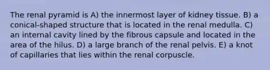 The renal pyramid is A) the innermost layer of kidney tissue. B) a conical-shaped structure that is located in the renal medulla. C) an internal cavity lined by the fibrous capsule and located in the area of the hilus. D) a large branch of the renal pelvis. E) a knot of capillaries that lies within the renal corpuscle.