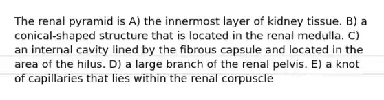 The renal pyramid is A) the innermost layer of kidney tissue. B) a conical-shaped structure that is located in the renal medulla. C) an internal cavity lined by the fibrous capsule and located in the area of the hilus. D) a large branch of the renal pelvis. E) a knot of capillaries that lies within the renal corpuscle