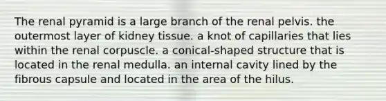 The renal pyramid is a large branch of the renal pelvis. the outermost layer of kidney tissue. a knot of capillaries that lies within the renal corpuscle. a conical-shaped structure that is located in the renal medulla. an internal cavity lined by the fibrous capsule and located in the area of the hilus.