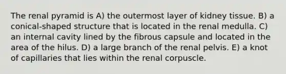 The renal pyramid is A) the outermost layer of kidney tissue. B) a conical-shaped structure that is located in the renal medulla. C) an internal cavity lined by the fibrous capsule and located in the area of the hilus. D) a large branch of the renal pelvis. E) a knot of capillaries that lies within the renal corpuscle.