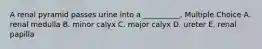 A renal pyramid passes urine into a __________. Multiple Choice A. renal medulla B. minor calyx C. major calyx D. ureter E. renal papilla