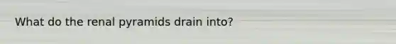 What do the renal pyramids drain into?