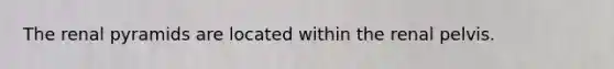 The renal pyramids are located within the renal pelvis.