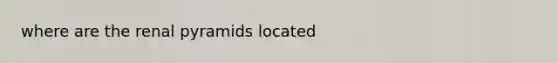 where are the renal pyramids located