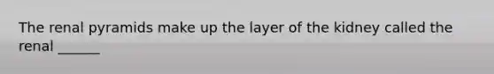The renal pyramids make up the layer of the kidney called the renal ______