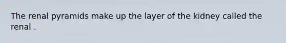 The renal pyramids make up the layer of the kidney called the renal .