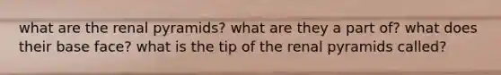 what are the renal pyramids? what are they a part of? what does their base face? what is the tip of the renal pyramids called?