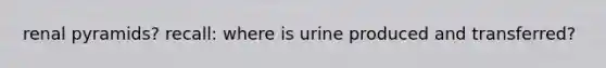 renal pyramids? recall: where is urine produced and transferred?