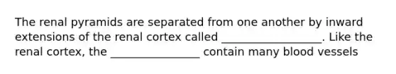 The renal pyramids are separated from one another by inward extensions of the renal cortex called __________________. Like the renal cortex, the ________________ contain many <a href='https://www.questionai.com/knowledge/kZJ3mNKN7P-blood-vessels' class='anchor-knowledge'>blood vessels</a>