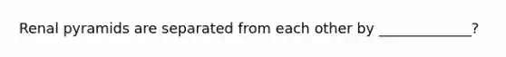 Renal pyramids are separated from each other by _____________?