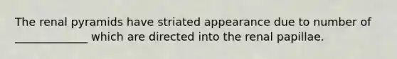 The renal pyramids have striated appearance due to number of _____________ which are directed into the renal papillae.