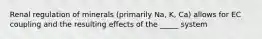 Renal regulation of minerals (primarily Na, K, Ca) allows for EC coupling and the resulting effects of the _____ system