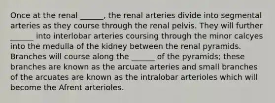 Once at the renal ______, the renal arteries divide into segmental arteries as they course through the renal pelvis. They will further ______ into interlobar arteries coursing through the minor calcyes into the medulla of the kidney between the renal pyramids. Branches will course along the ______ of the pyramids; these branches are known as the arcuate arteries and small branches of the arcuates are known as the intralobar arterioles which will become the Afrent arterioles.