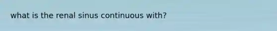 what is the renal sinus continuous with?