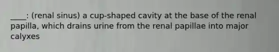 ____: (renal sinus) a cup-shaped cavity at the base of the renal papilla, which drains urine from the renal papillae into major calyxes