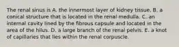 The renal sinus is A. the innermost layer of kidney tissue. B. a conical structure that is located in the renal medulla. C. an internal cavity lined by the fibrous capsule and located in the area of the hilus. D. a large branch of the renal pelvis. E. a knot of capillaries that lies within the renal corpuscle.