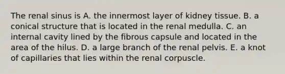 The renal sinus is A. the innermost layer of kidney tissue. B. a conical structure that is located in the renal medulla. C. an internal cavity lined by the fibrous capsule and located in the area of the hilus. D. a large branch of the renal pelvis. E. a knot of capillaries that lies within the renal corpuscle.