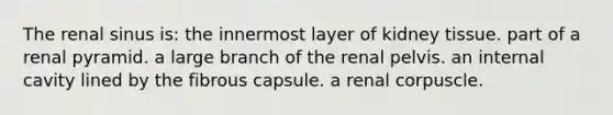 The renal sinus is: the innermost layer of kidney tissue. part of a renal pyramid. a large branch of the renal pelvis. an internal cavity lined by the fibrous capsule. a renal corpuscle.