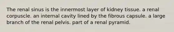 The renal sinus is the innermost layer of kidney tissue. a renal corpuscle. an internal cavity lined by the fibrous capsule. a large branch of the renal pelvis. part of a renal pyramid.