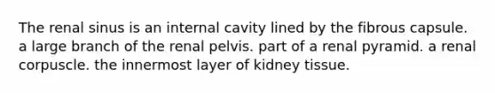 The renal sinus is an internal cavity lined by the fibrous capsule. a large branch of the renal pelvis. part of a renal pyramid. a renal corpuscle. the innermost layer of kidney tissue.