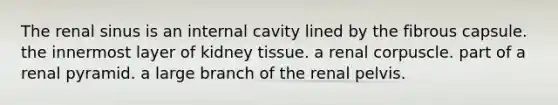 The renal sinus is an internal cavity lined by the fibrous capsule. the innermost layer of kidney tissue. a renal corpuscle. part of a renal pyramid. a large branch of the renal pelvis.