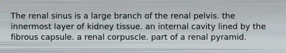 The renal sinus is a large branch of the renal pelvis. the innermost layer of kidney tissue. an internal cavity lined by the fibrous capsule. a renal corpuscle. part of a renal pyramid.