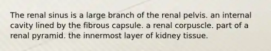 The renal sinus is a large branch of the renal pelvis. an internal cavity lined by the fibrous capsule. a renal corpuscle. part of a renal pyramid. the innermost layer of kidney tissue.