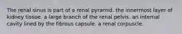 The renal sinus is part of a renal pyramid. the innermost layer of kidney tissue. a large branch of the renal pelvis. an internal cavity lined by the fibrous capsule. a renal corpuscle.