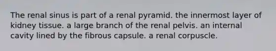 The renal sinus is part of a renal pyramid. the innermost layer of kidney tissue. a large branch of the renal pelvis. an internal cavity lined by the fibrous capsule. a renal corpuscle.