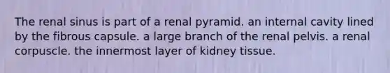 The renal sinus is part of a renal pyramid. an internal cavity lined by the fibrous capsule. a large branch of the renal pelvis. a renal corpuscle. the innermost layer of kidney tissue.