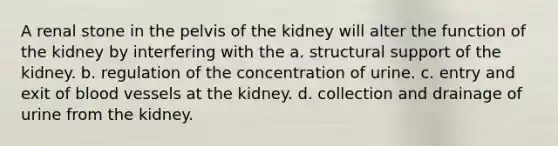 A renal stone in the pelvis of the kidney will alter the function of the kidney by interfering with the a. structural support of the kidney. b. regulation of the concentration of urine. c. entry and exit of blood vessels at the kidney. d. collection and drainage of urine from the kidney.