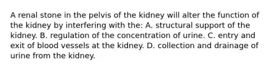 A renal stone in the pelvis of the kidney will alter the function of the kidney by interfering with the: A. structural support of the kidney. B. regulation of the concentration of urine. C. entry and exit of blood vessels at the kidney. D. collection and drainage of urine from the kidney.