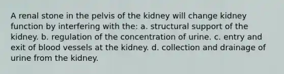 A renal stone in the pelvis of the kidney will change kidney function by interfering with the: a. structural support of the kidney. b. regulation of the concentration of urine. c. entry and exit of blood vessels at the kidney. d. collection and drainage of urine from the kidney.